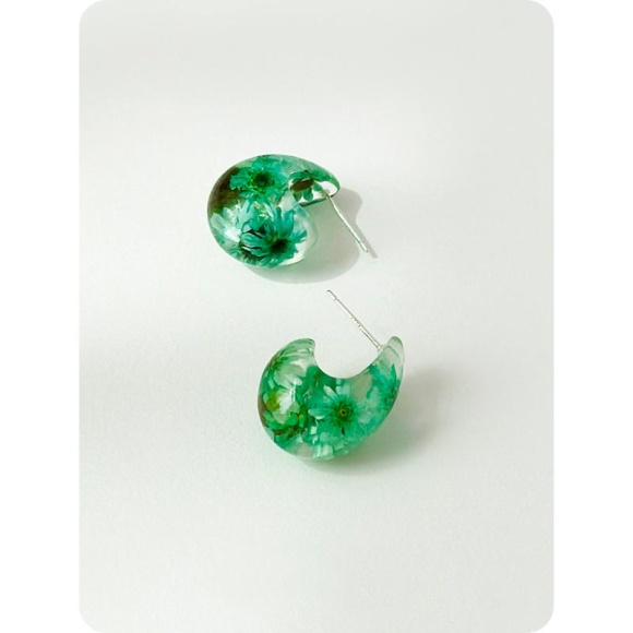 Сережки вічне цвітіння Сережки вічне цвітіння