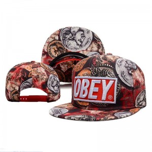 Кепка з прямим козирком Снепбек Obey Монета