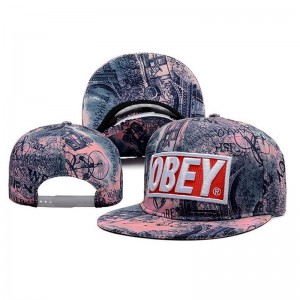 Кепка з прямим козирком Снепбек Obey Ретро