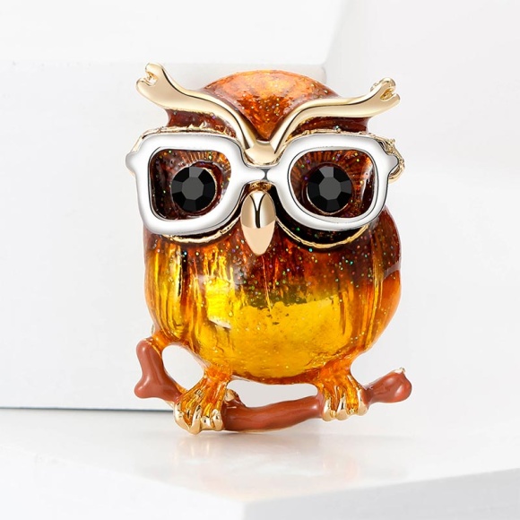 Брошка вчена Сова