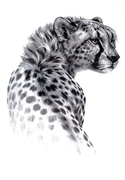 Временное тату — Леопард TH — 227