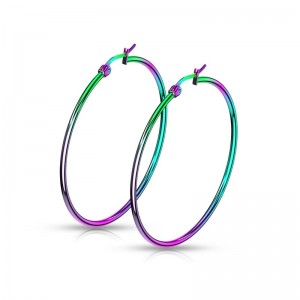 Сережки кільця із сталі Spikes Хамелеон SEH01W Сережки кільця із сталі Spikes Хамелеон SEH01W