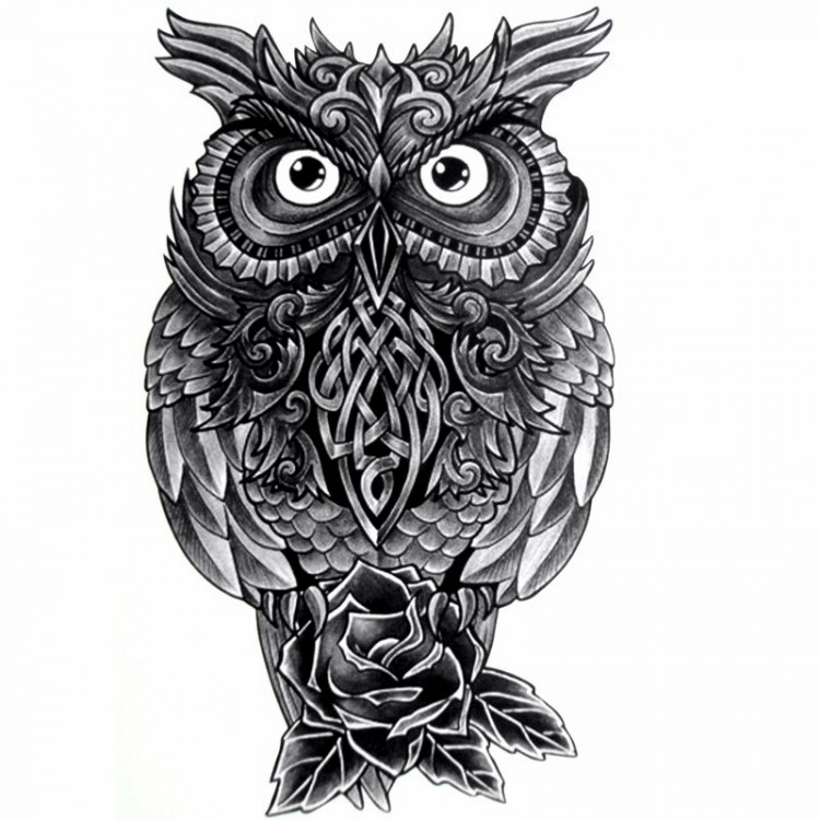 Татуировки сова: значение и 121 фото и эскизов