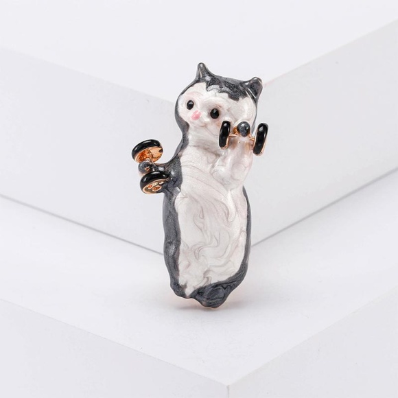 Брошь фитнес котик Жирок Брошь фитнес котик Жирок