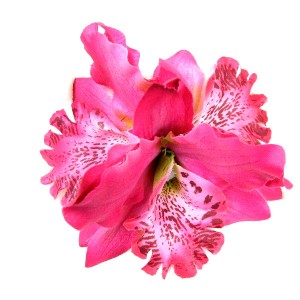 Заколка для волос Орхидеи Заколка для волос Орхидеи