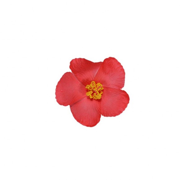 Заколка для волосся Гавайська екзотична квітка 1 шт