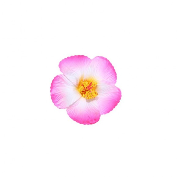 Заколка для волосся Гавайська екзотична квітка 1 шт