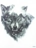 Временное тату — Горный волк HB — 845