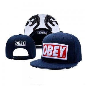 Кепка з прямим козирком Obey